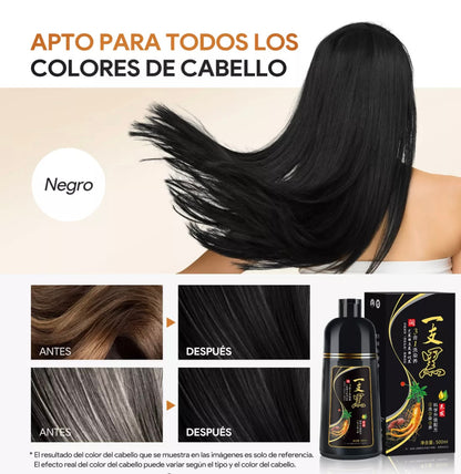 Shampoo Instantáneo Cubre Canas 3 en 1 Natural® - Jengibre