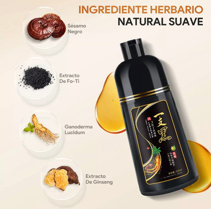 Shampoo Instantáneo Cubre Canas 3 en 1 Natural® - Jengibre