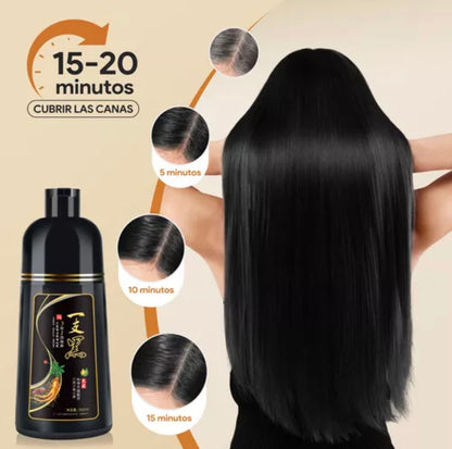 Shampoo Instantáneo Cubre Canas 3 en 1 Natural® - Jengibre
